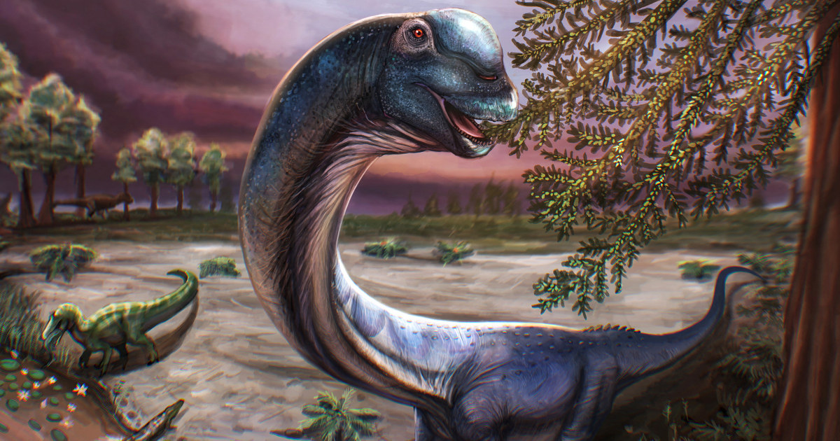 Scientists dig up Southeast Asia’s largest dinosaur