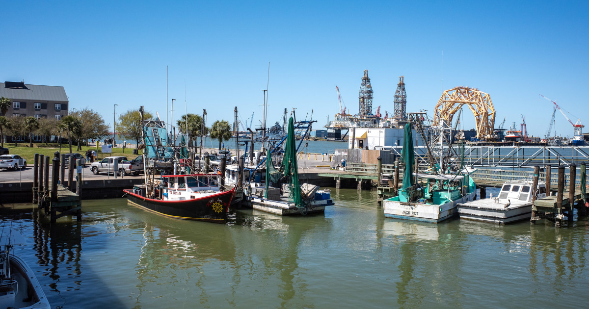 Teen Bit By Shark While Boating With Father Off Texas Coast - Beritaja
