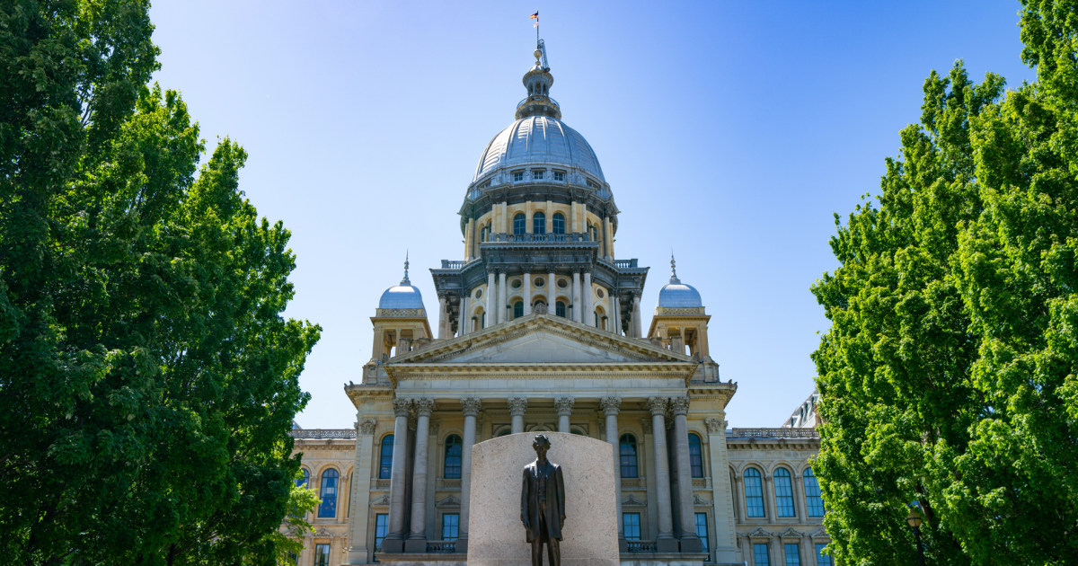 Illinois Legislature Passes SB315 Requiring Third-Party AI Audits