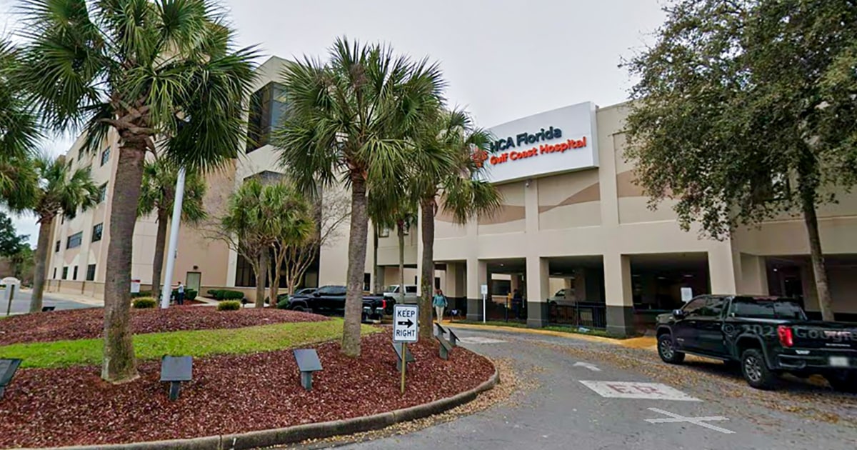Navy base employee in critical condition after shark attack in Florida - BERITAJA