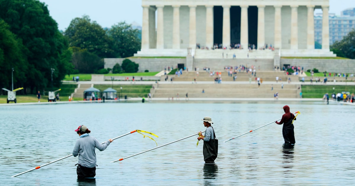 Blue Paint Seen Chipping Off Lincoln Memorial Reflecting Pool After Algae Turns It Green - Beritaja