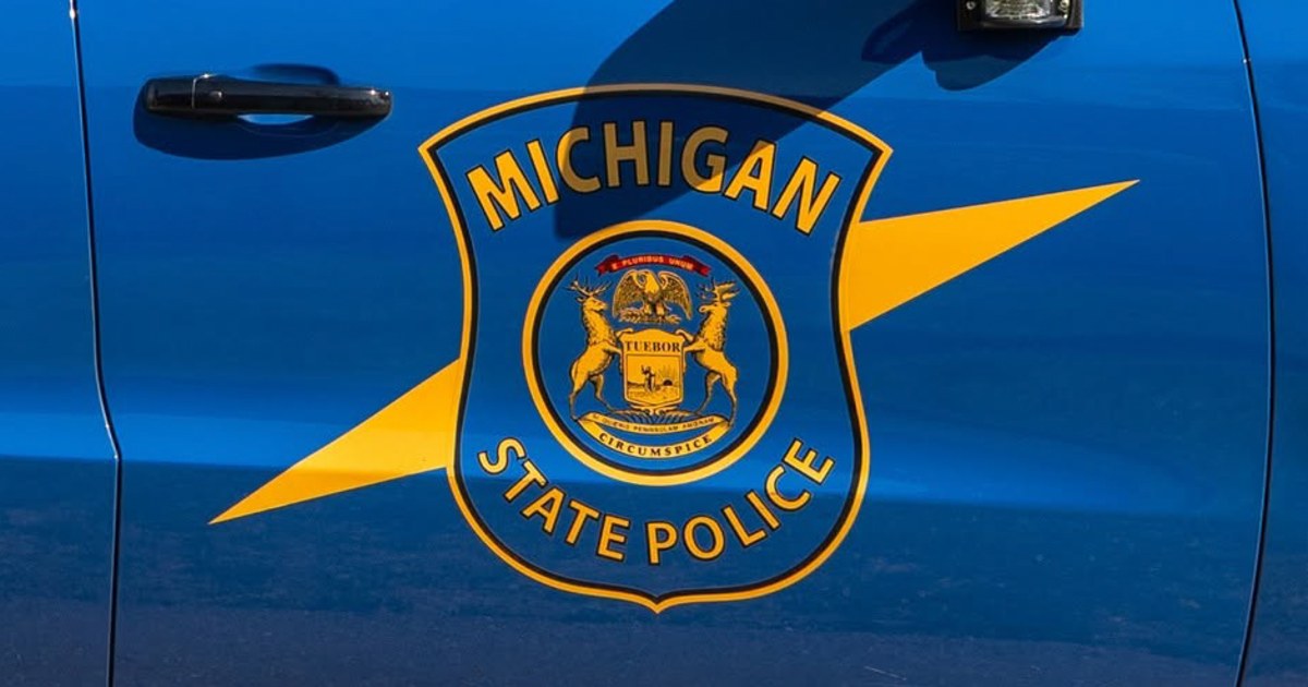 Body Of Newborn Found In Portable Restroom At Electric Forest Music Festival In Michigan - Beritaja
