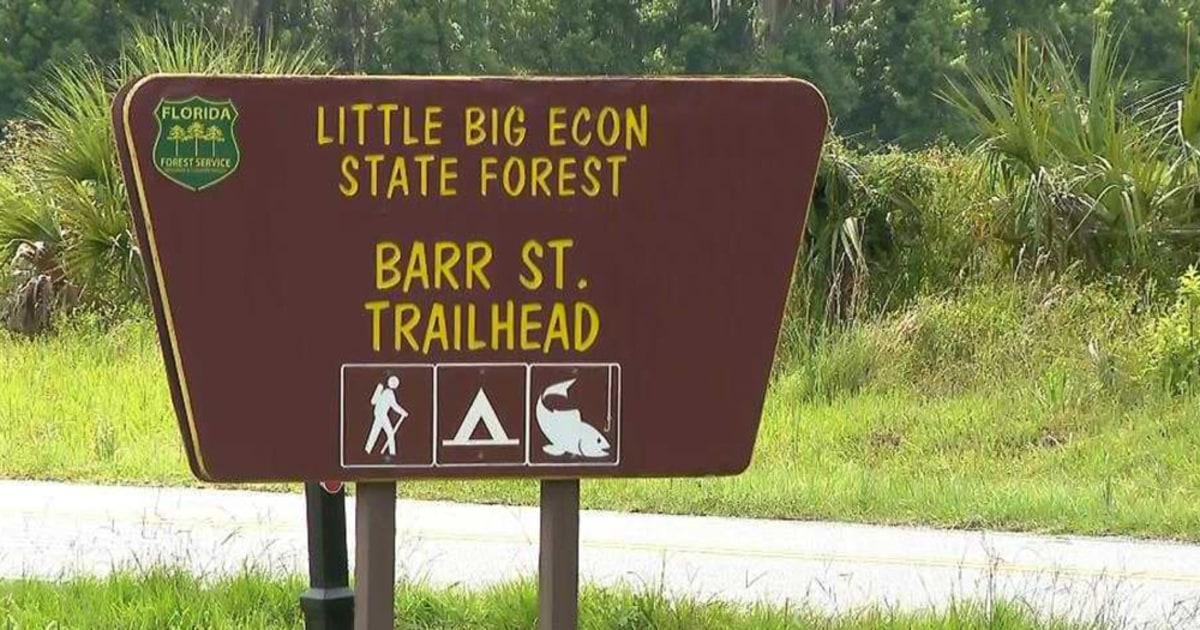 Woman Dies After Alligator Bites Off Her Arm In Florida River - Beritaja