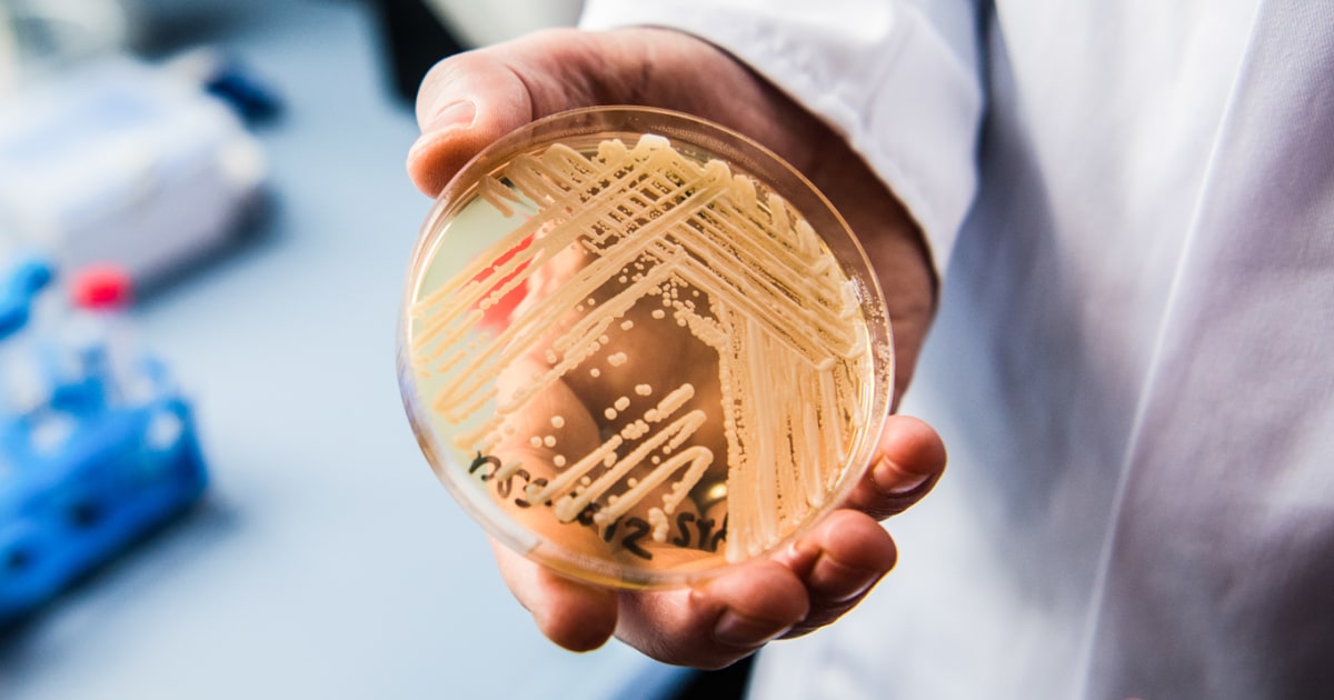Deadly Drug-resistant Fungal Infections Rising In The U.s. - Beritaja