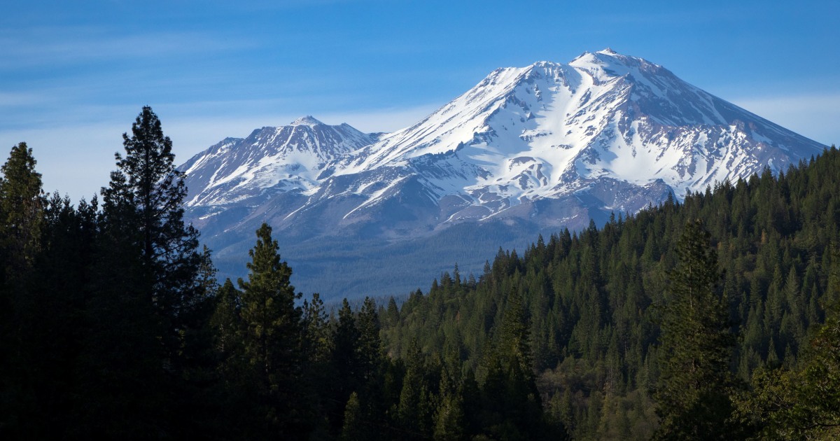 Two U.S. Forest Service employees rescued after being zip-tied and held hostage at gunpoint