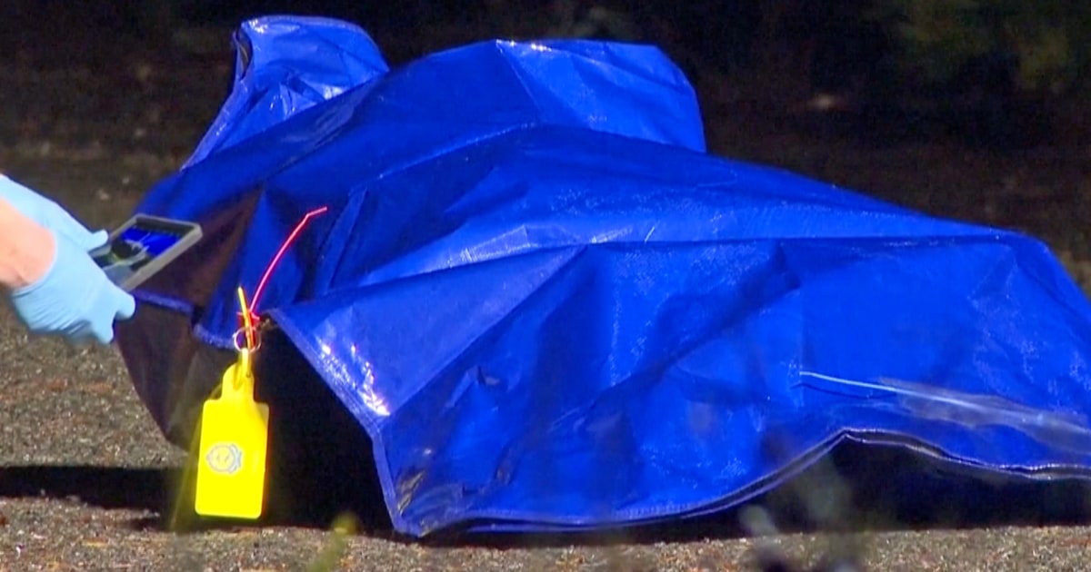 Woman's body found in suitcase on NSW road near Goulburn