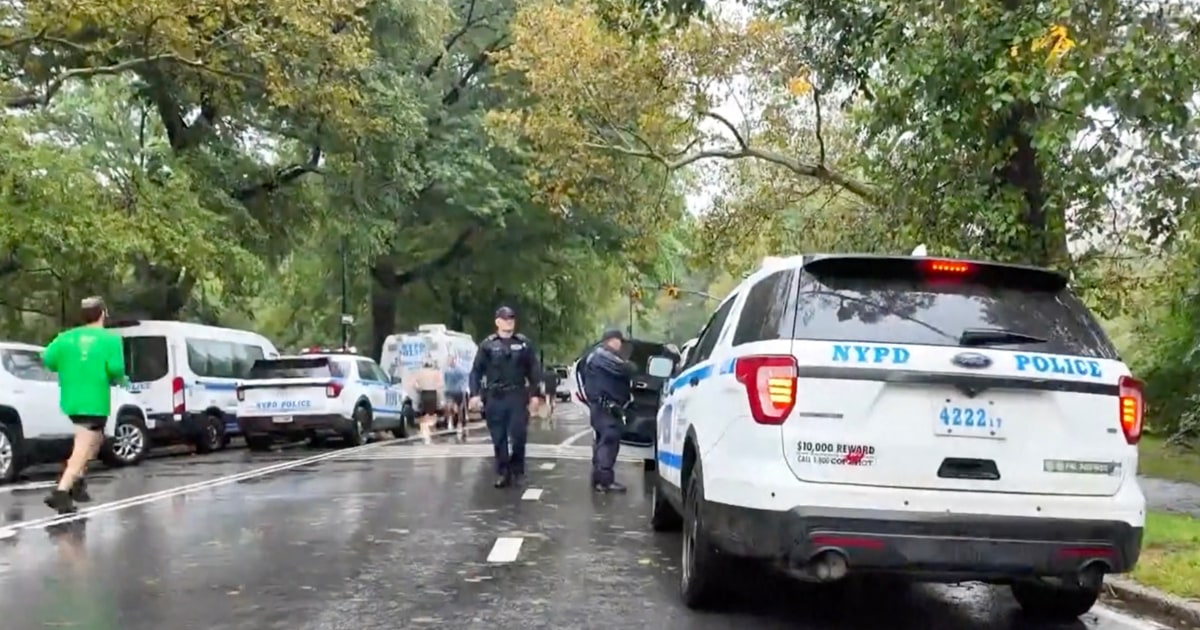 A man is under arrest in the killing of a 63-year-old woman inside Central Park, the NYPD says.
