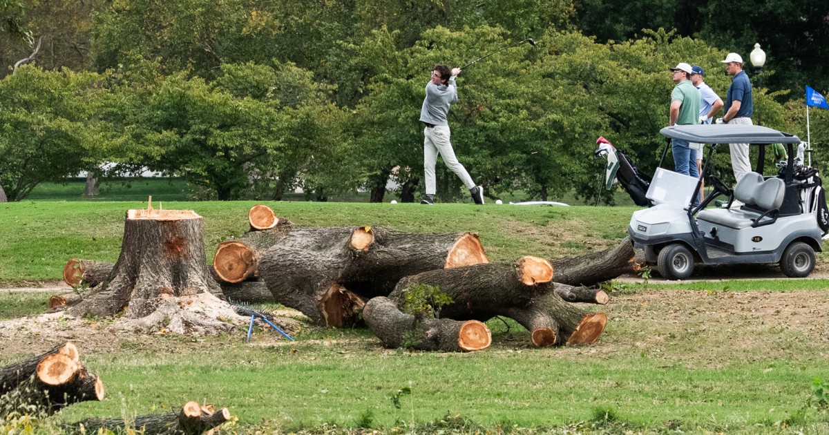 Judge tears into Trump administration for felling trees on D.C. golf course the president wants to remake