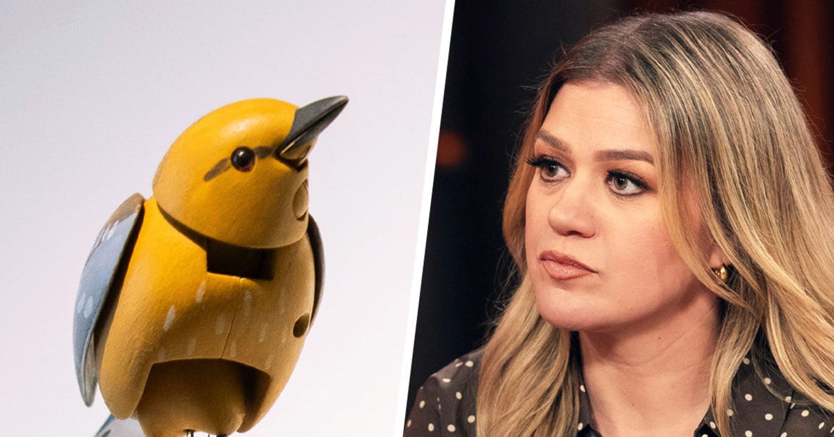 Brooklyn Store In Kelly Clarkson Feud Says Molly The Mechanical Bird Is Now On Sale For $15 Million - Beritaja Brooklyn Store In Kelly Clarkson Feud Says Molly The Mechanical Bird Is Now On Sale For $15 Million - Beritaja
