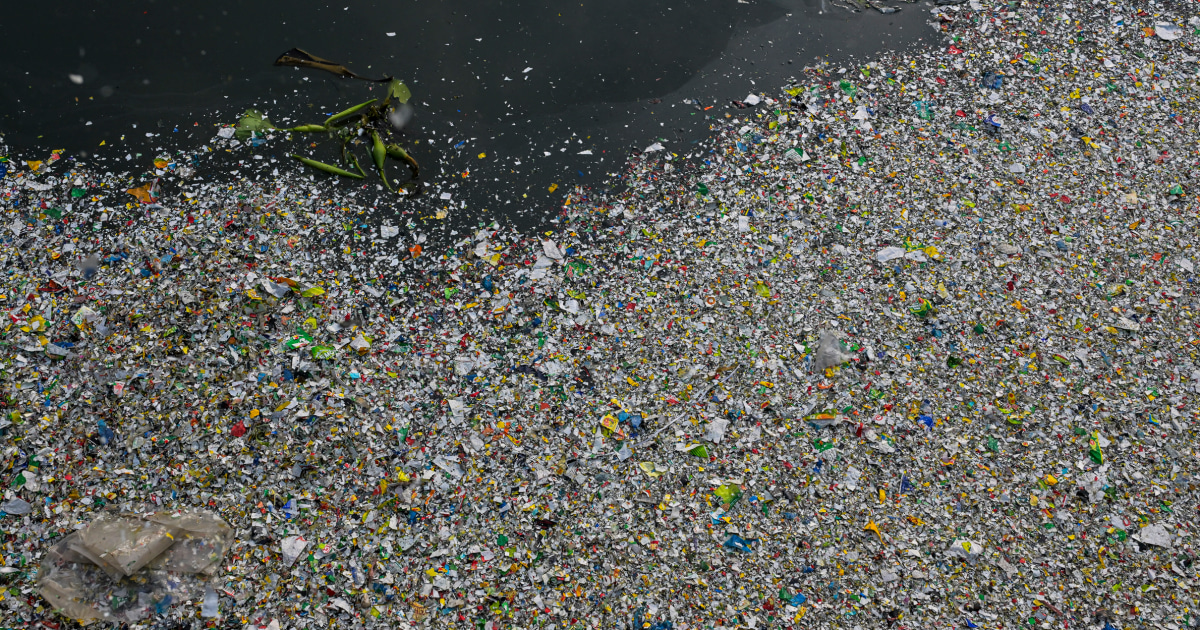 How exactly do microplastics damage the body? New research offers an answer