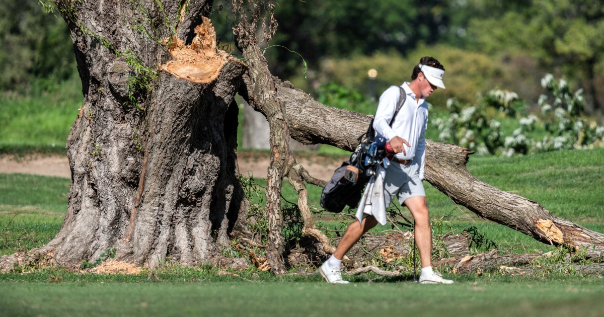 Judge leans toward extending halt on tree clearing at golf course where Trump says redesign should start ‘immediately’