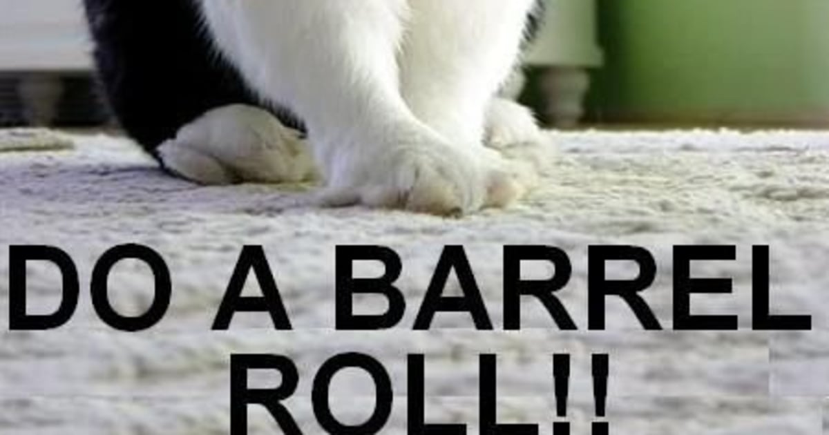 Do A Barrel Roll - How to do Barrel Roll x200 Times [Google]