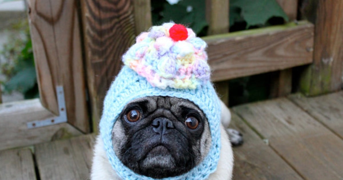Pre caffeine Tech Google Snoops Etsy Pugs 