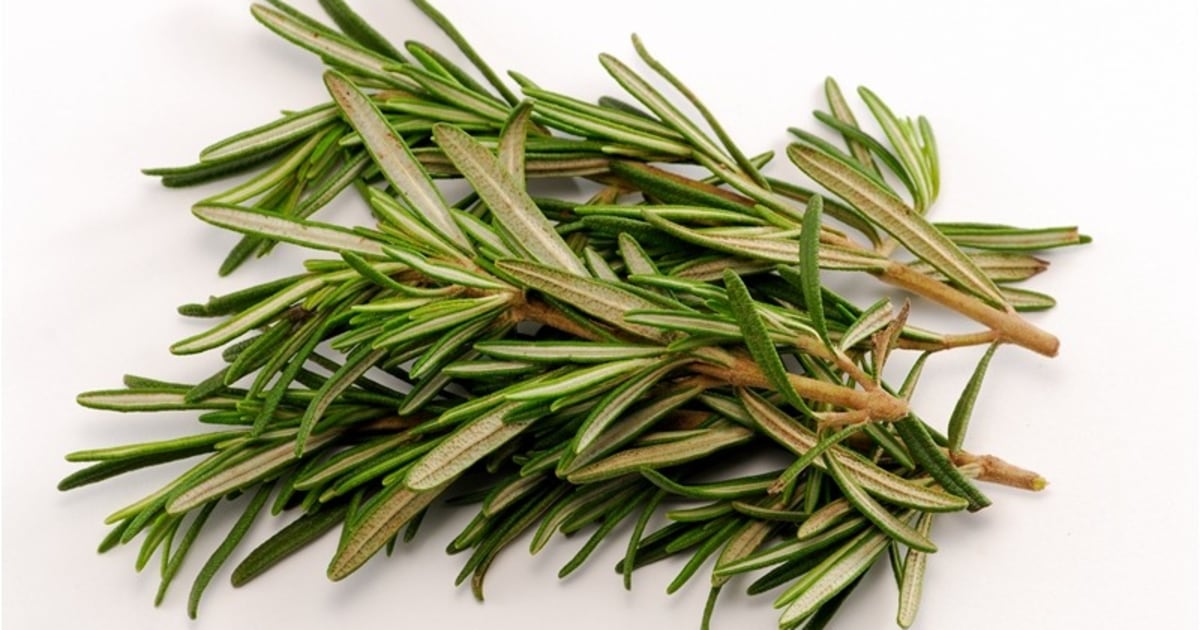 A whiff of rosemary gives your brain a boost