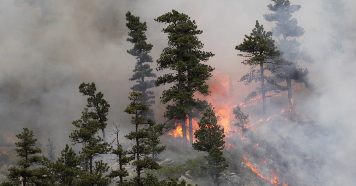 Summer forecast: hot and dry -- with western wildfires