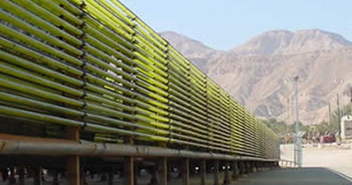 Californians can now fill up on algae-based biodiesel