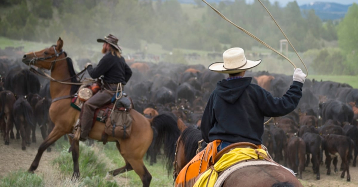 The cowboy life in the USA West as cowboys relax and talk on old