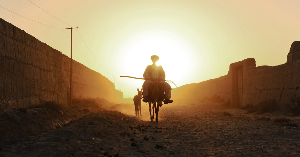 Donkeys and dust as day breaks in Afghanistan