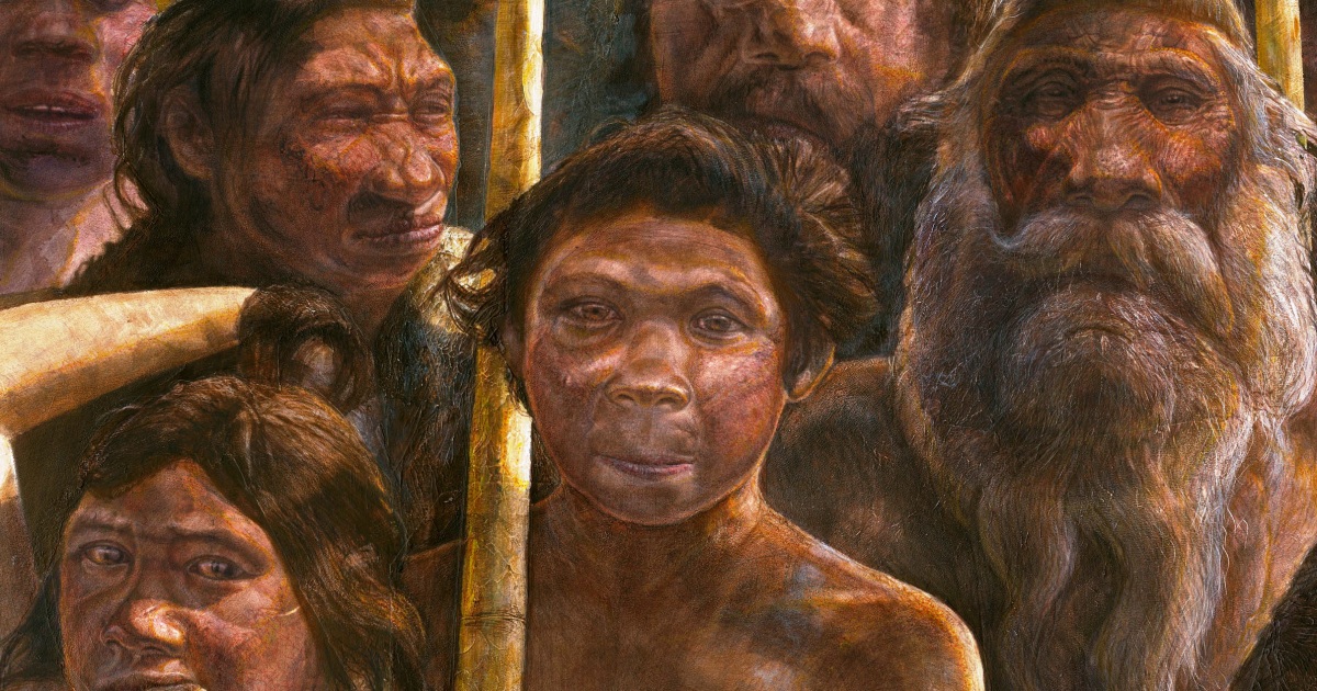400,000-year-old human DNA adds new tangle to our origin story