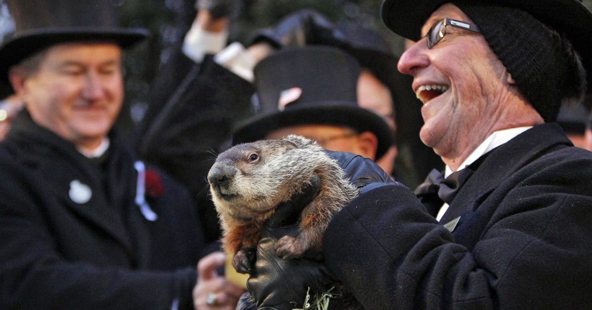 It's That Time Of Year Again And Punxsutawney Phil Says