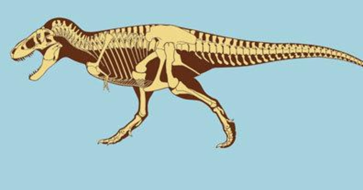 HOW TO DRAW AND COLOR ONE OF THE LARGEST AND STRONGEST DINOSAURS: TIRANOSSAURO  REX 