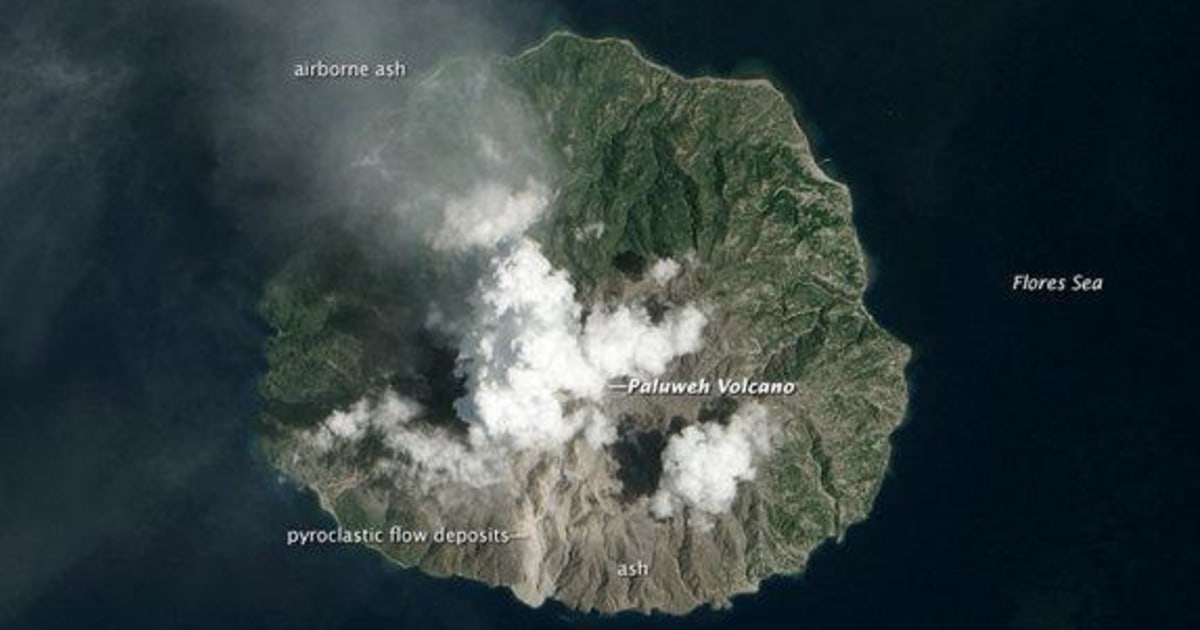 1C6025722-bill-m--fink1D0EC6E1