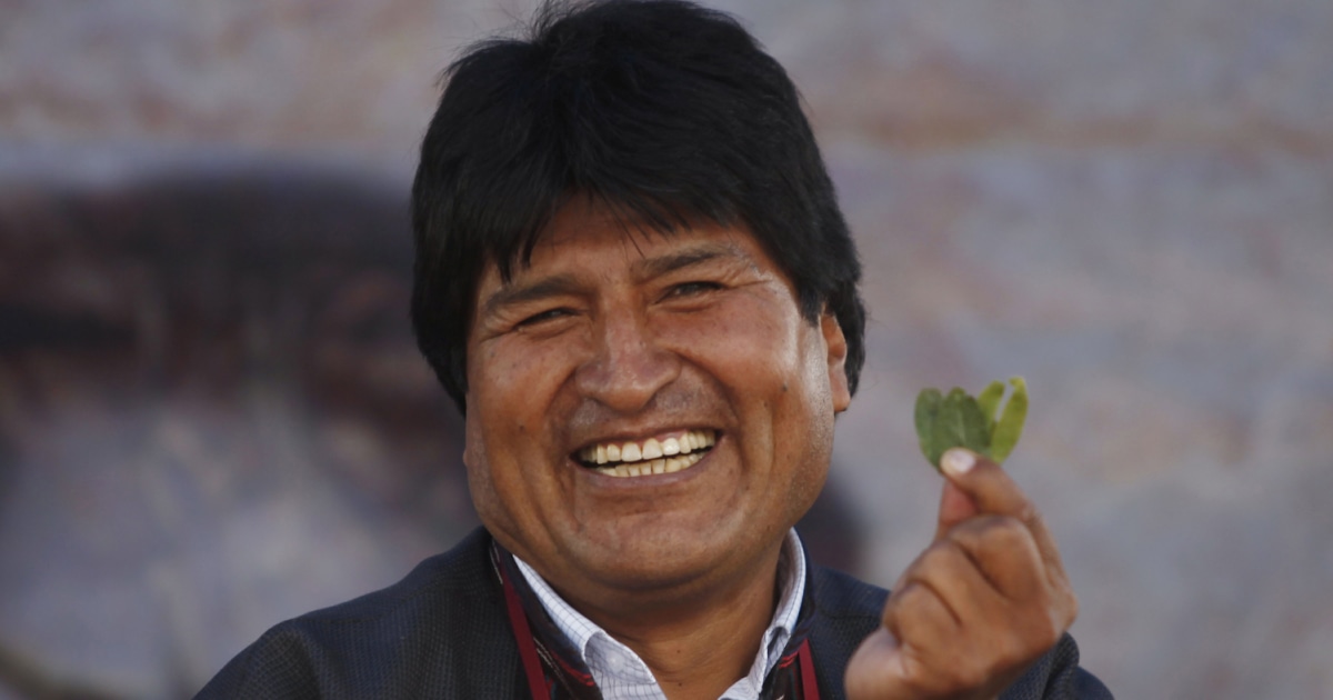 Bolivia legalizes chewing and ingesting coca leaves