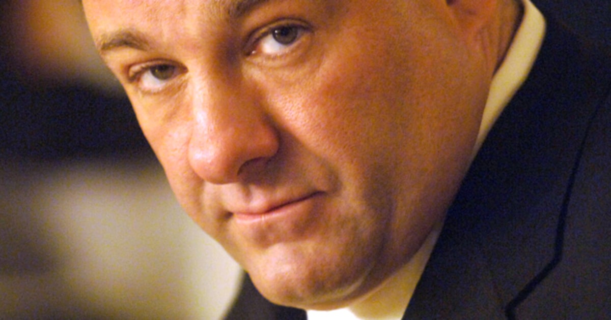 James Gandolfini was on a special fatherson trip when he died