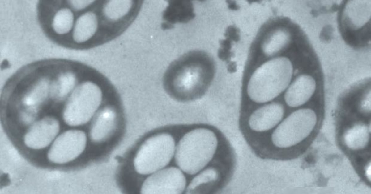 They Got Caught Science Retracts The Arsenic Life Paper - r8ers1u