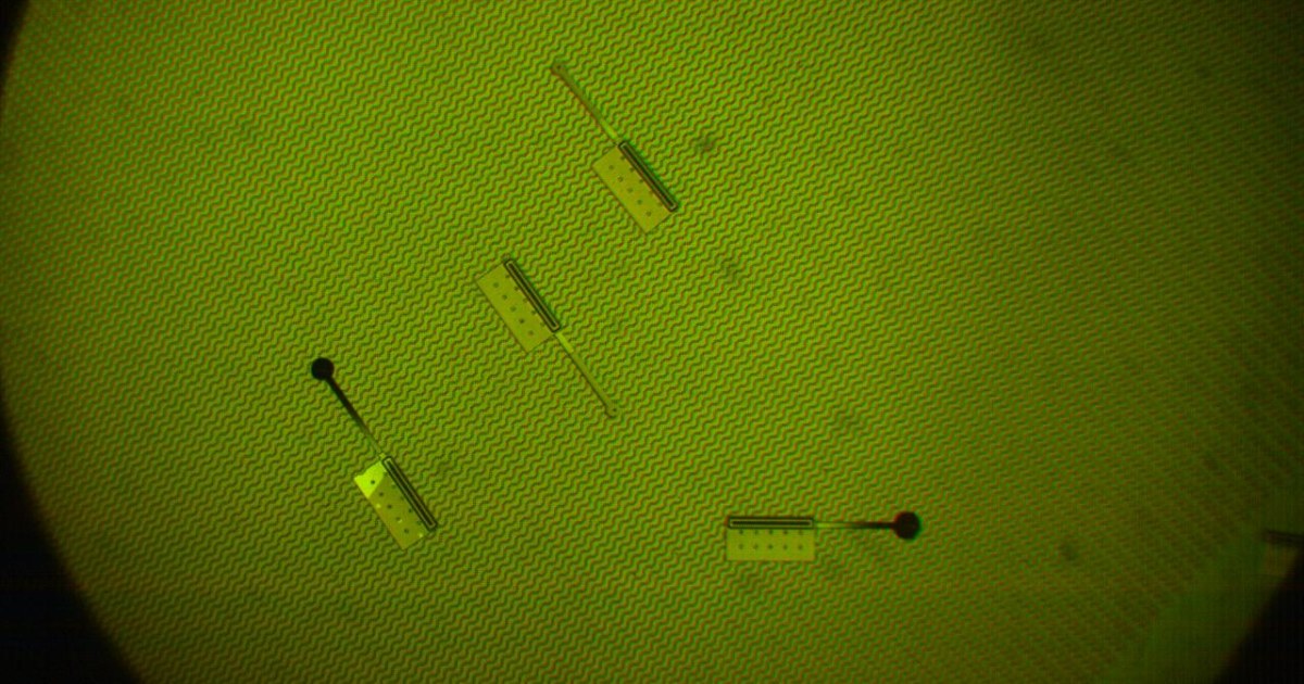 One signal herds microbot swarm