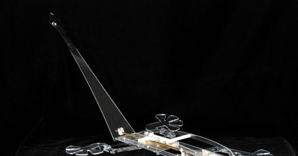 Nature inspires flying machines
