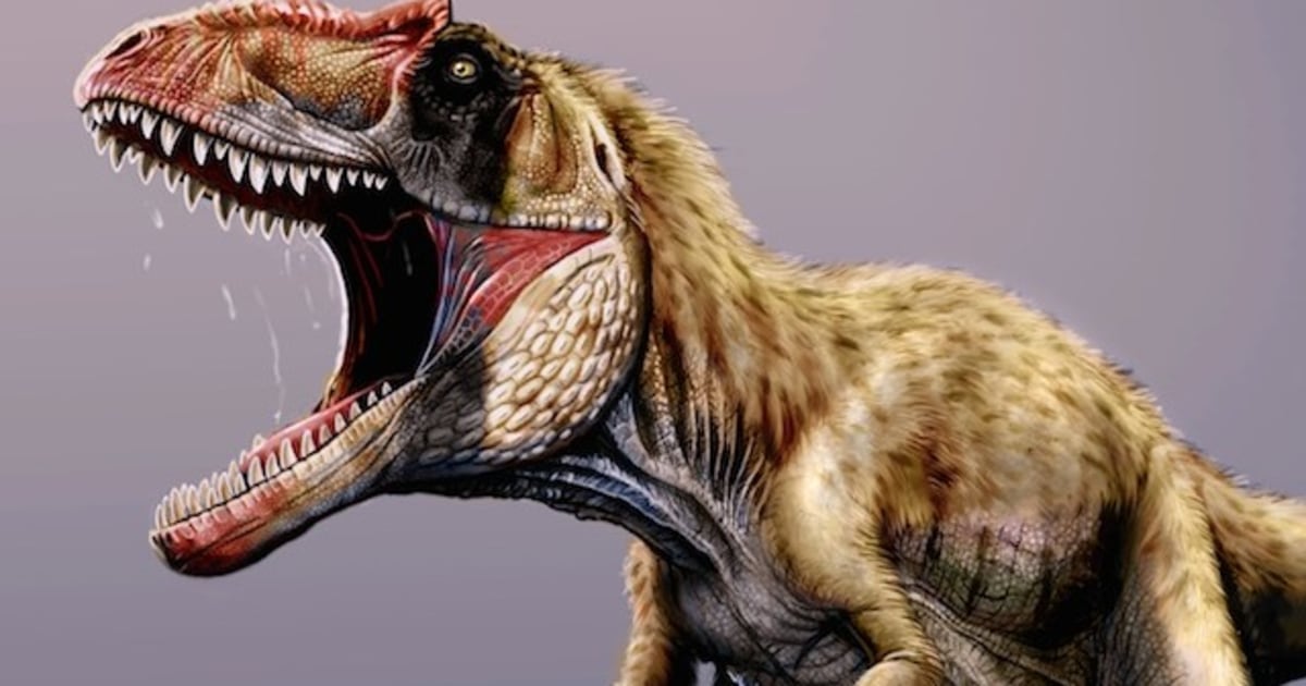 carnivore dinosaur with 2 horns