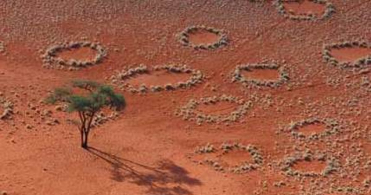 Mysterious 'fairy circles' in African desert: Here's a new theory