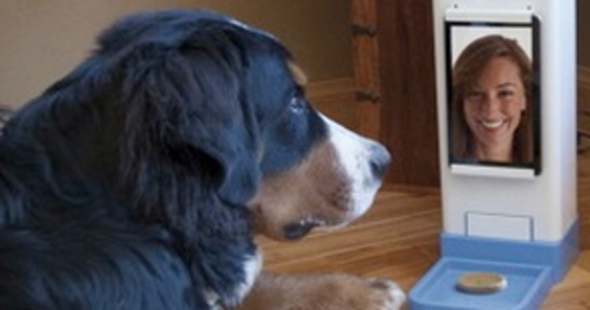 Now on Kickstarter: Dog Treat Dispenser