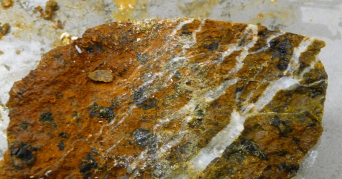 Largest reservoir of life beneath Earth's crust may gobble up oxygen