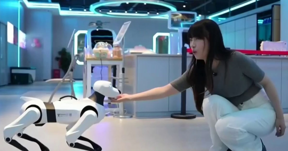 Una tienda de robots humanoides y mascotas futuristas abre sus puertas ...