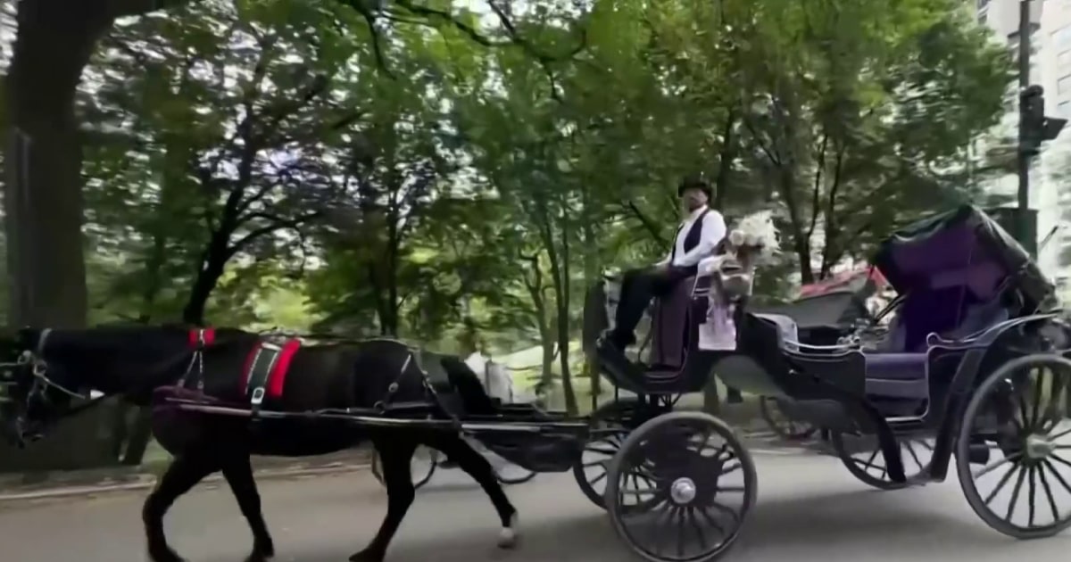 NYC Council votes to ban Central Park horse-drawn carriages