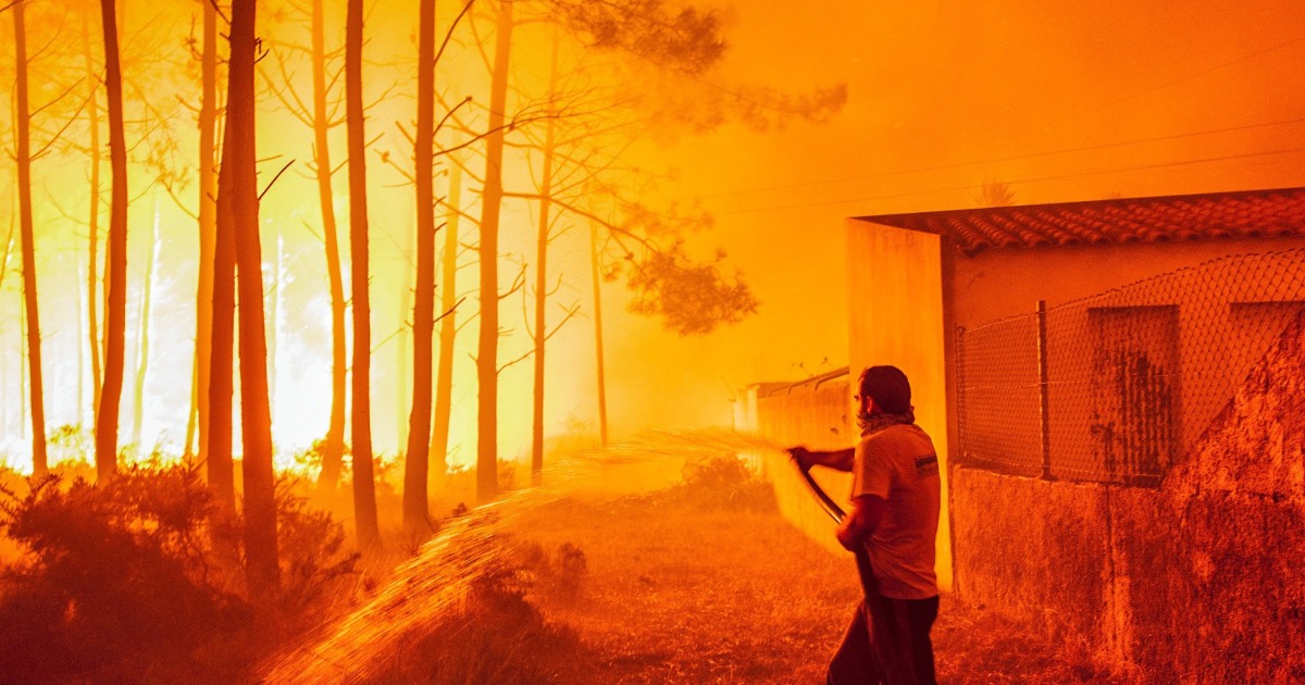 Más de una treintena de muertos y siete desaparecidos por incendios en ...