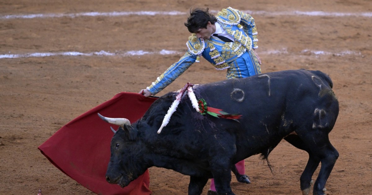 Vuelven las corridas de toros a Ciudad de México a pesar de las ...