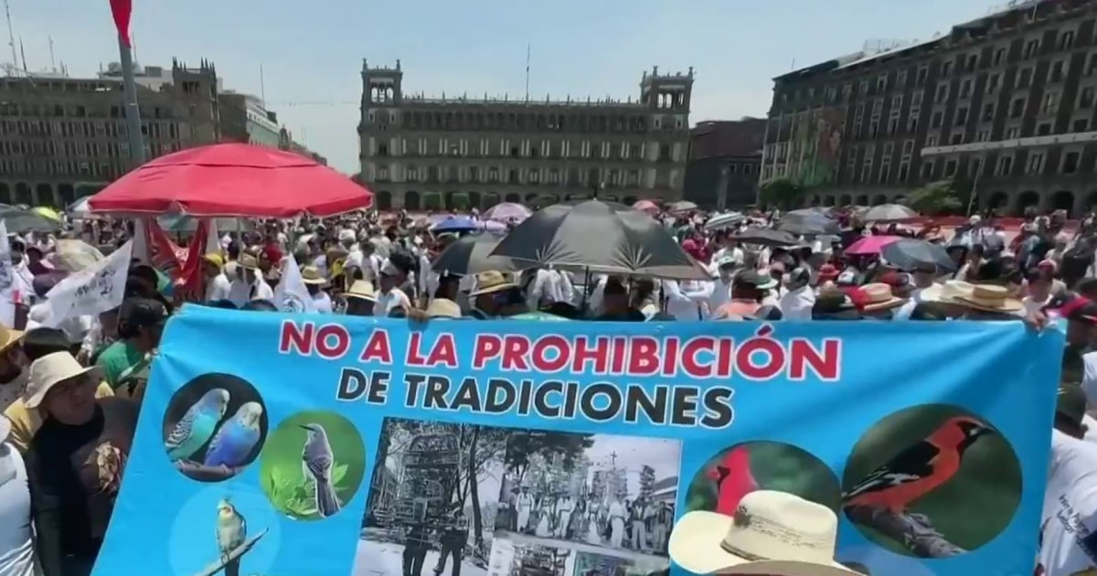 Suspenden temporalmente las corridas de toros en la Ciudad de México y ...