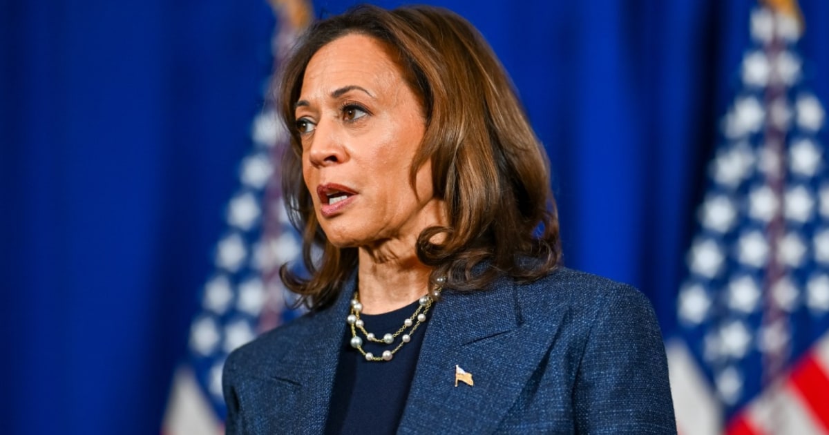 ¿Qué falló en la estrategia de Kamala Harris frente a la campaña de ...