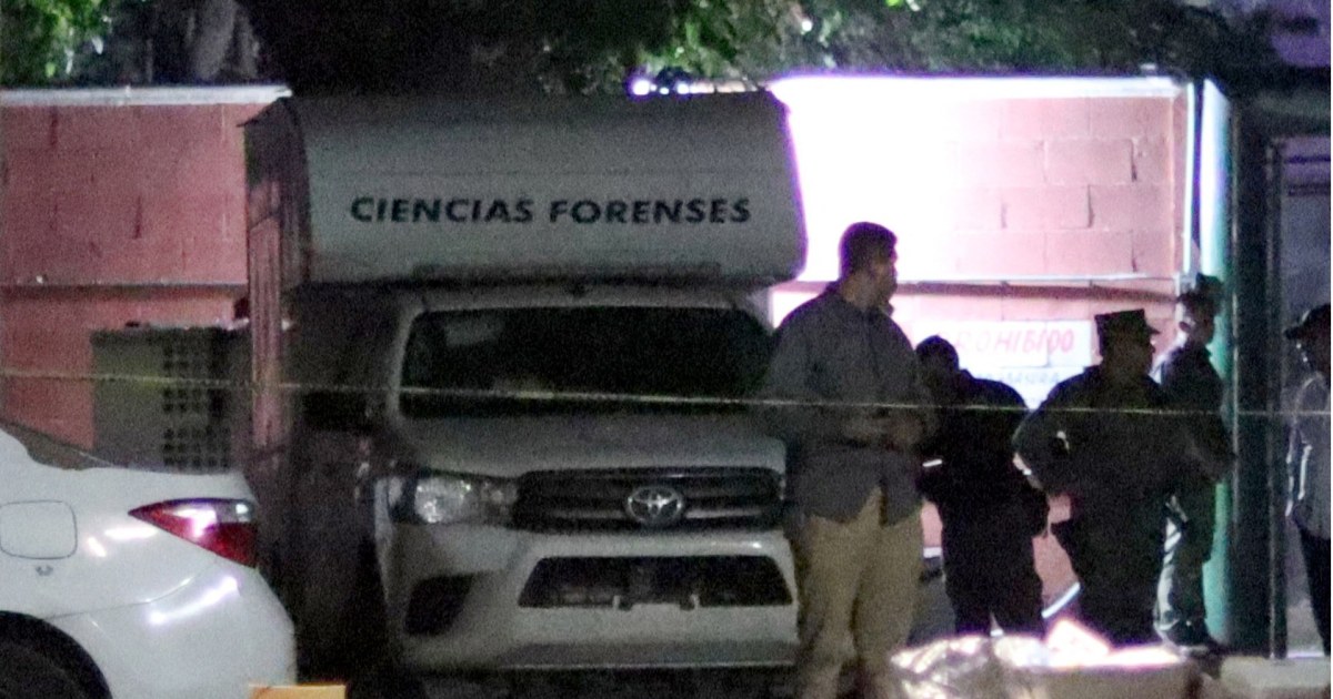 Asesinan a 11 miembros de una misma familia en México. Otros seis están ...