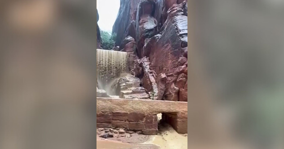 Hallan los cuerpos de una madre y su hijo, ambos turistas, en un ...