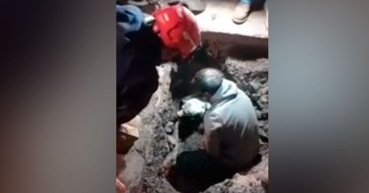 Bomberos rescatan a un perro que estaba atrapado en una alcantarilla en ...
