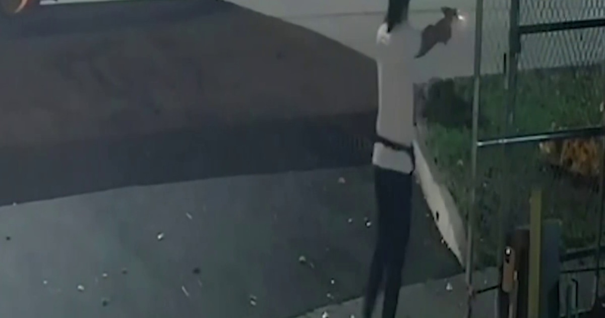 Hombre mata de unos 10 balazos a un vecino en Florida | Telemundo