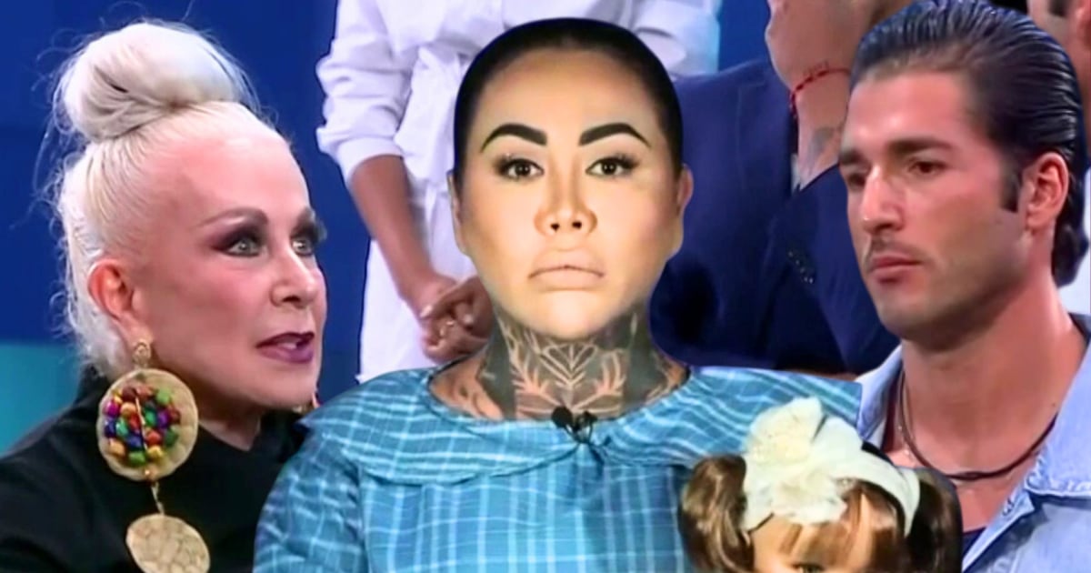 Yina reacciona a posicionamiento de Laura Zapata vs. Stefano y se lanza ...