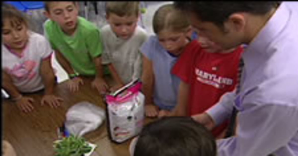 A.J.'s summer school Greenhouse