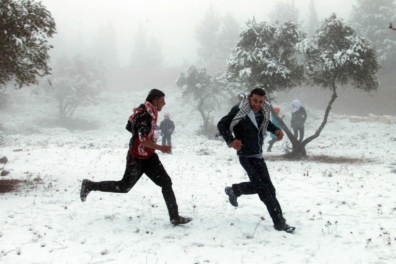 Late snow. Снег в Египте 2013. Снег в Египте. Снег в Египте сегодня. Winter in Egypt.