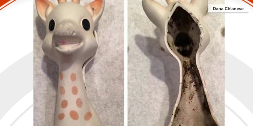 Sophie the Giraffe a popular teething toy under fire for mold