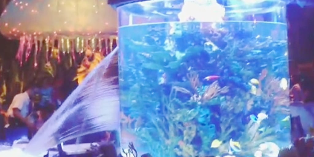 Disney restaurant's fish tank springs a leak